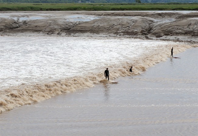 Surfers ride the tidal bore on the Petitcodiac River in Moncton, N.B. on Wednesday, July 24, 2013. THE CANADIAN PRESS/Kevin Bissett.