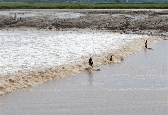 Petitcodiac River to play big part in new Moncton downtown - New ...