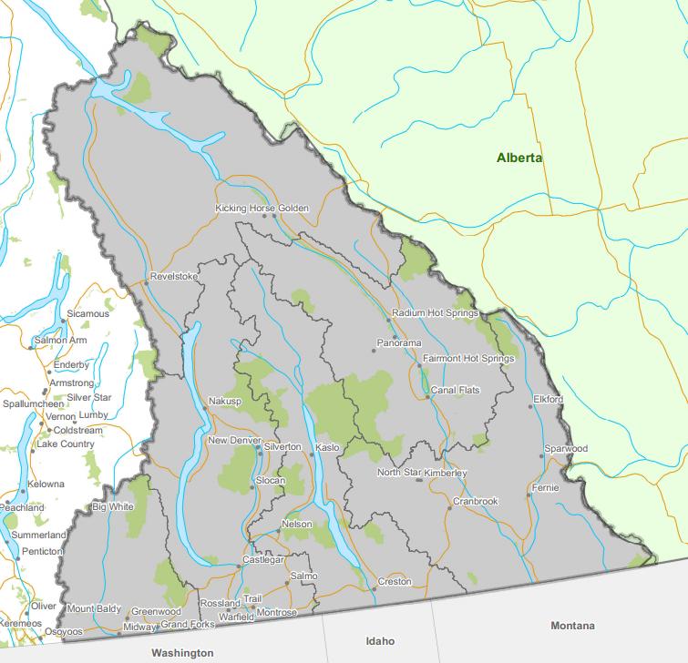 The affected area.