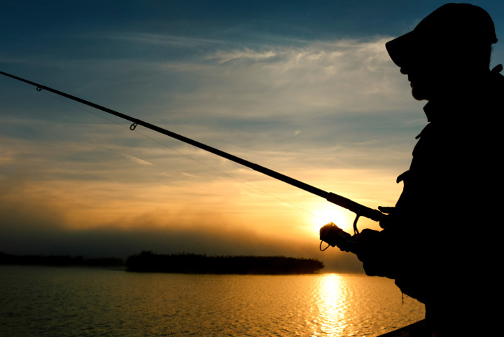 Saskatchewan researcher casting for anglers who can reel in hybrid fish DNA.