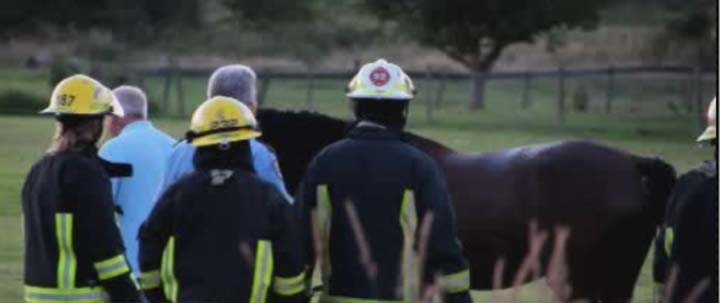 Delta Fire on the scene of a tragic horseback riding accident that killed a 43-year-old woman and injured her daughter.