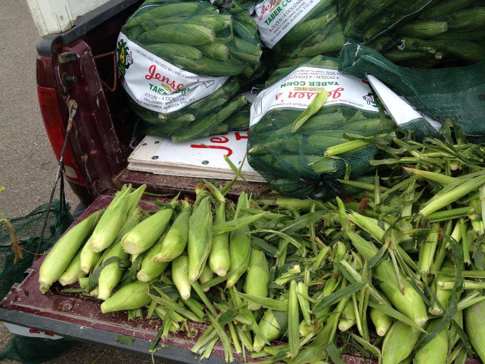 File photo of bagged Taber corn.
