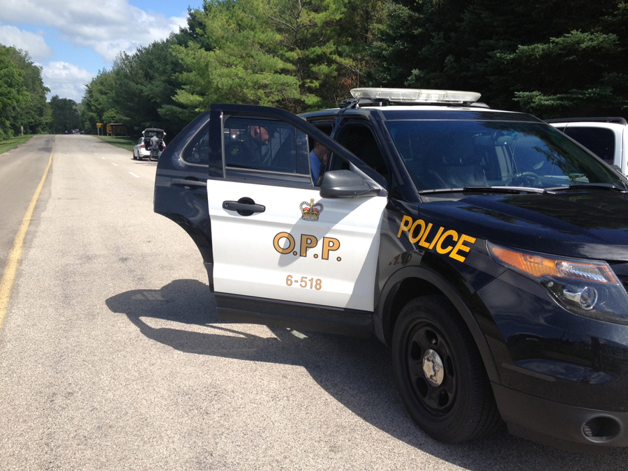 The Ontario Provincial Police (OPP) search for a missing teenager at Elora Gorge. July 11, 2013.