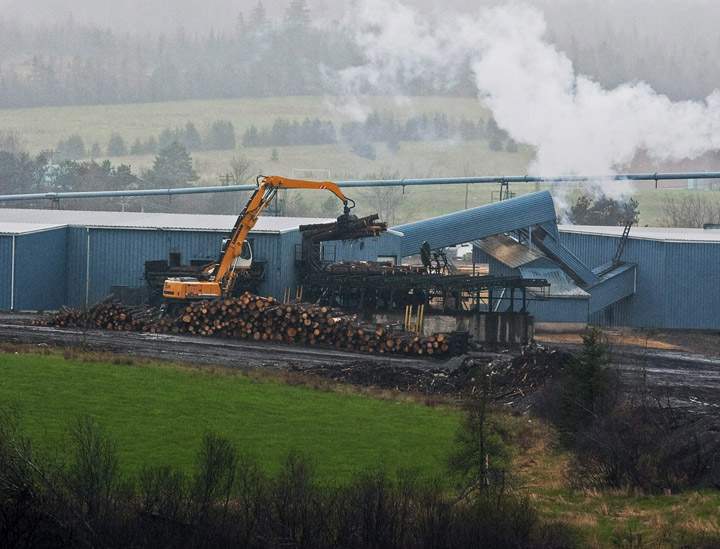 Workers unload logs at the a lumber yard in Middle Musquodoboit, N.S.  (File photo).