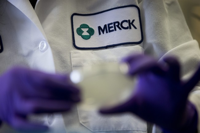 Drugmaker Merck & Co. is joining two dozen other
pharmaceutical companies and contract laboratories in committing to
not use chimpanzees for research.
