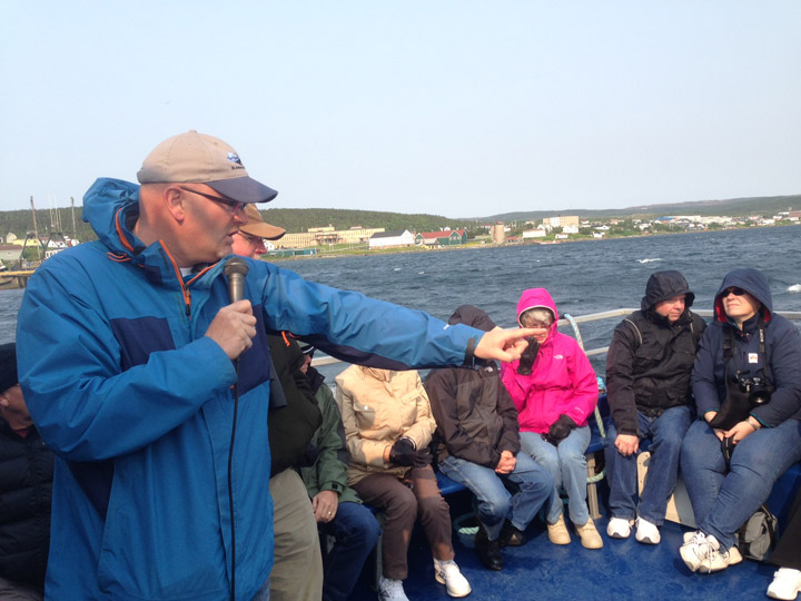 WATCH: Up-close look at icebergs off Newfoundland - image