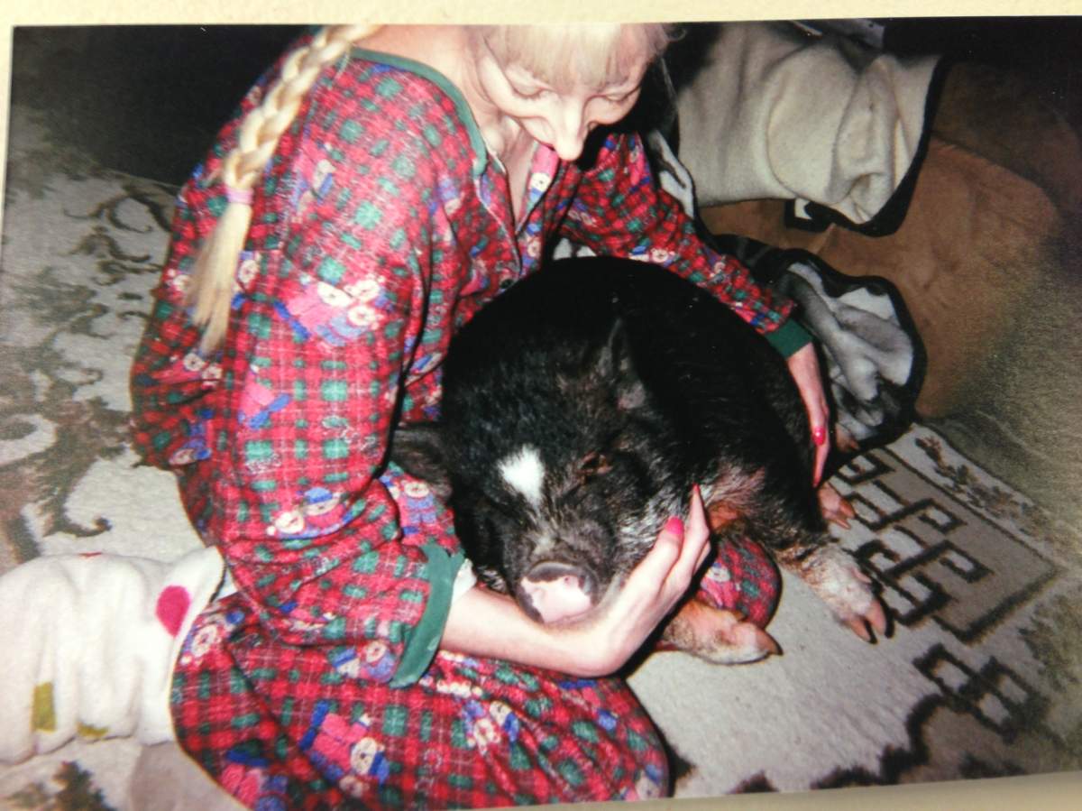 Donna-Sherry Pinchuck's pot-bellied pig has been moved out of the city because it's illegal under Winnipeg bylaws.