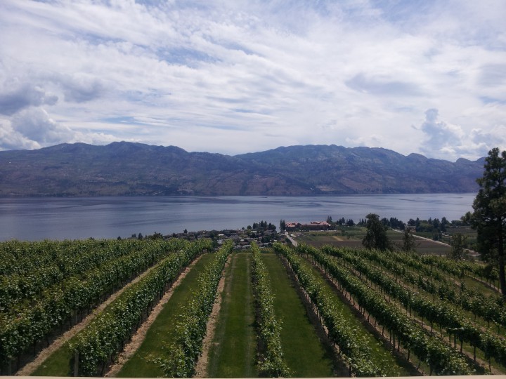 Changes in Nova Scotia could be good news for Okanagan wineries - image