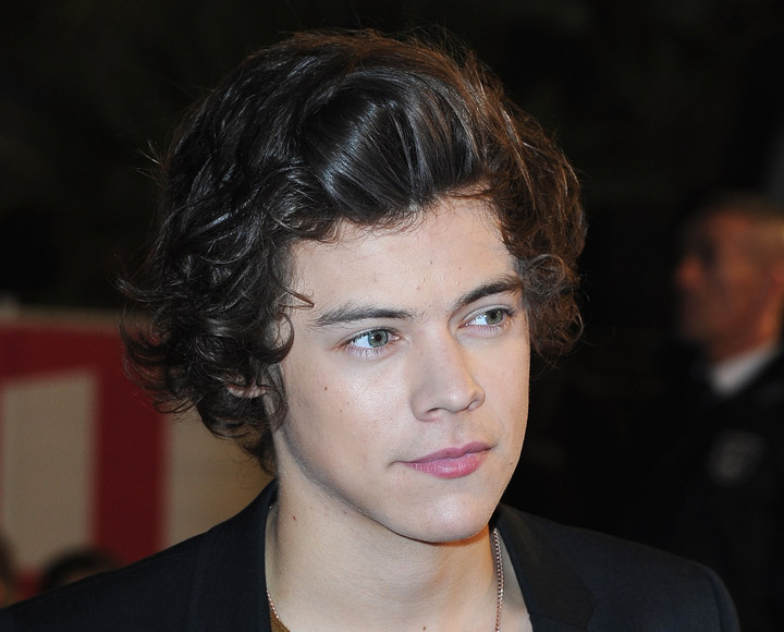 Harry Styles of One Direction, pictured in January 2013.