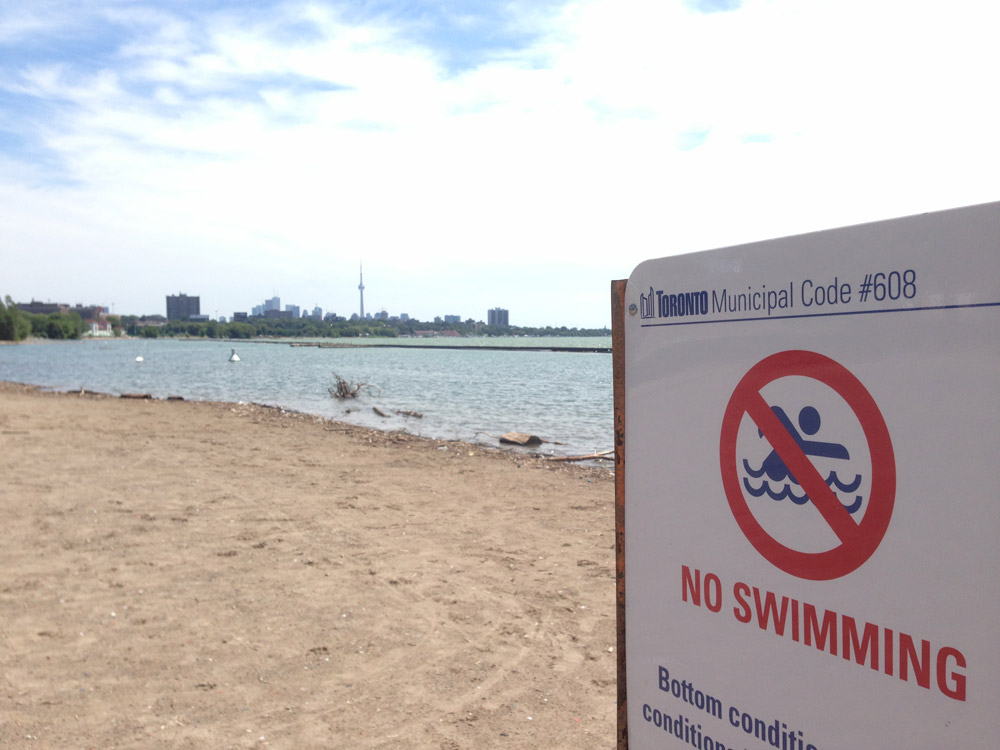 no swimming, beach, toronto
