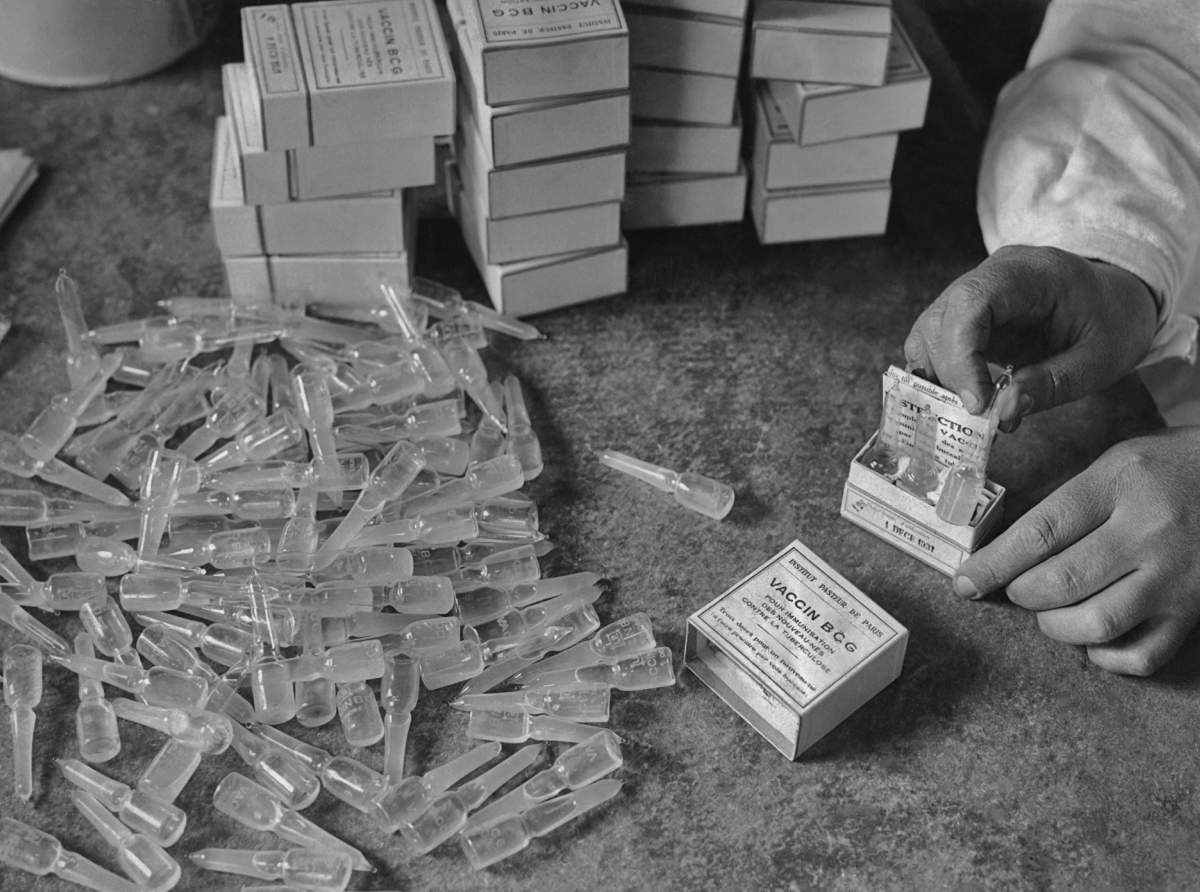 Packing ampoules of the BCG (Bacillus Calmette-Gurin) vaccine for tuberculosis developed by the Pasteur Institute in Paris, France in 1931. 