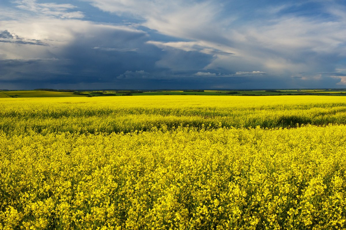 Weekly Weather Window: July 5-11 