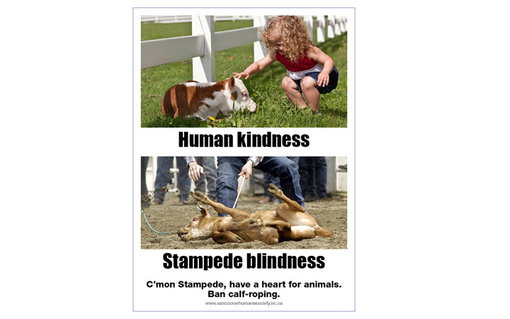 The VHS launched the "have a heart for animals" full-page ad in a Calgary newspaper Thursday morning.