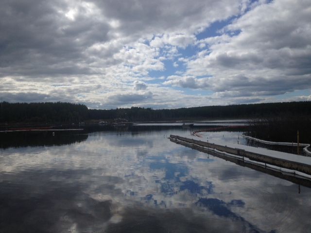 Canadian Natural Resources Ltd. has reported more than two dozen bitumen spills since January 2014.