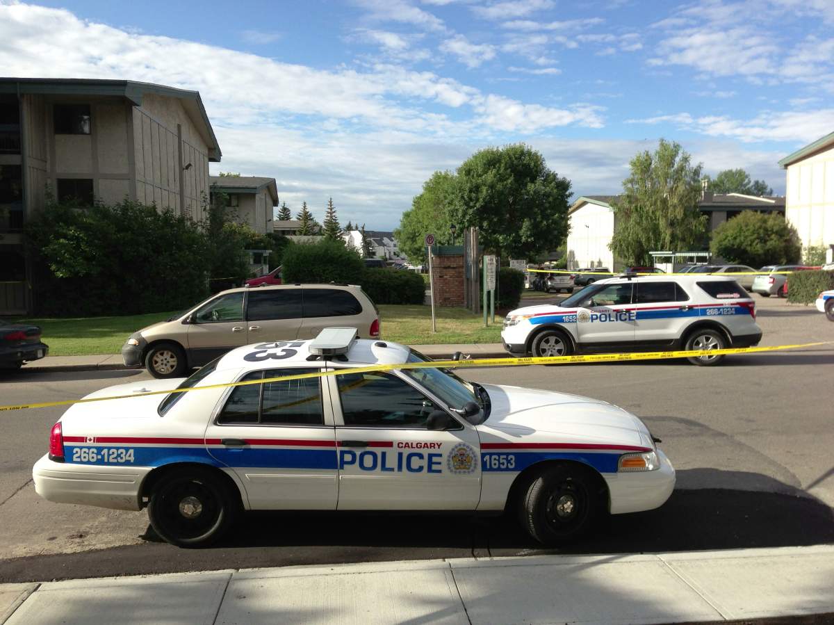 Calgary Police investigate a stabbing in the community of Acadia on August 5th, 2013.