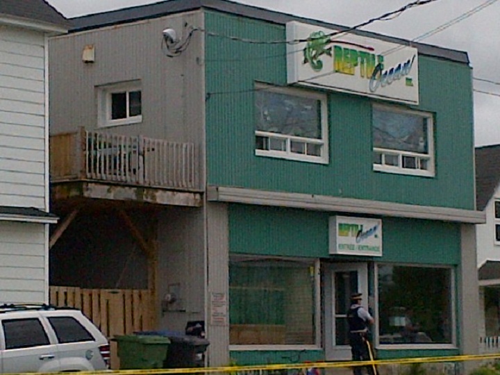 New Brunswick python