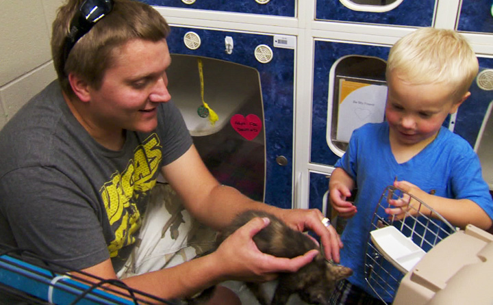 Saskatoon SPCA finds homes for all felines up for adoption on Sunday.