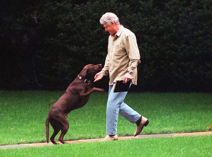 13 photos of U.S. presidential pets - image