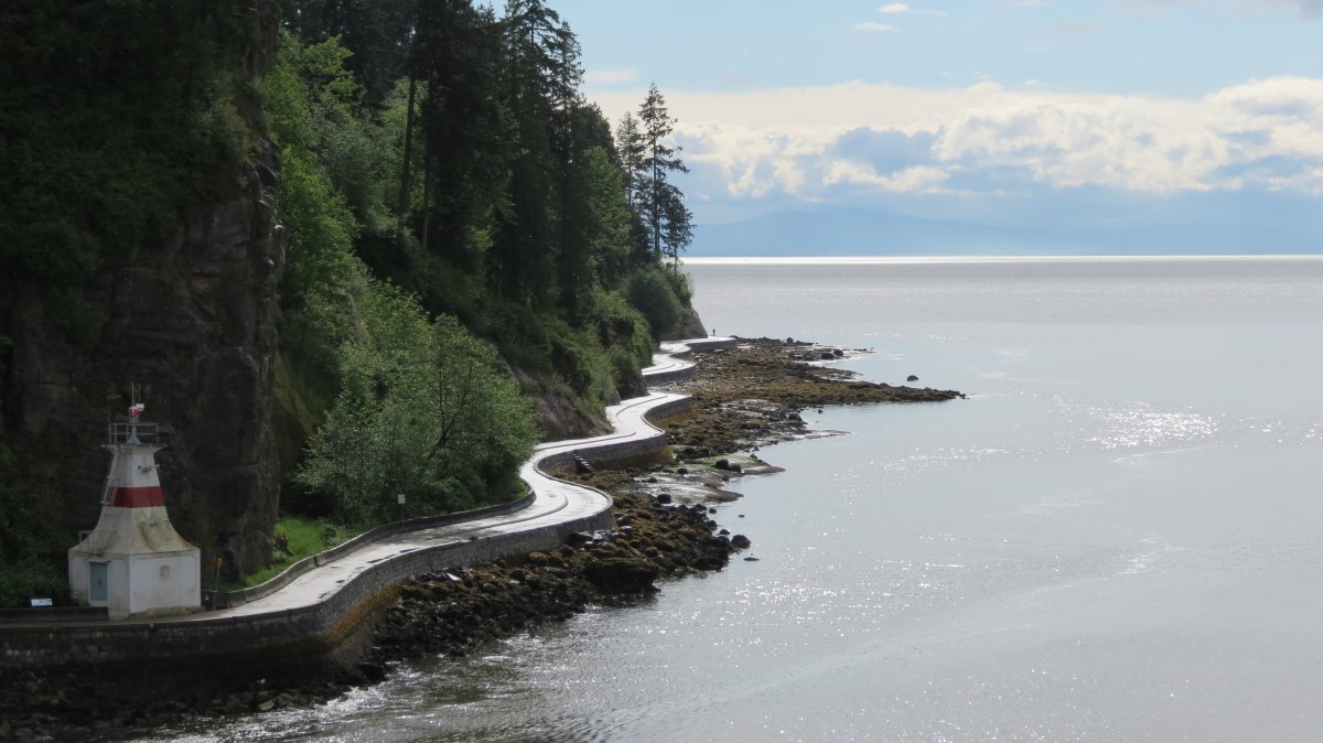 A 26-year-old Alberta man died on Sunday after falling onto the Stanley Park seawall from the rocks near Prospect Point.
