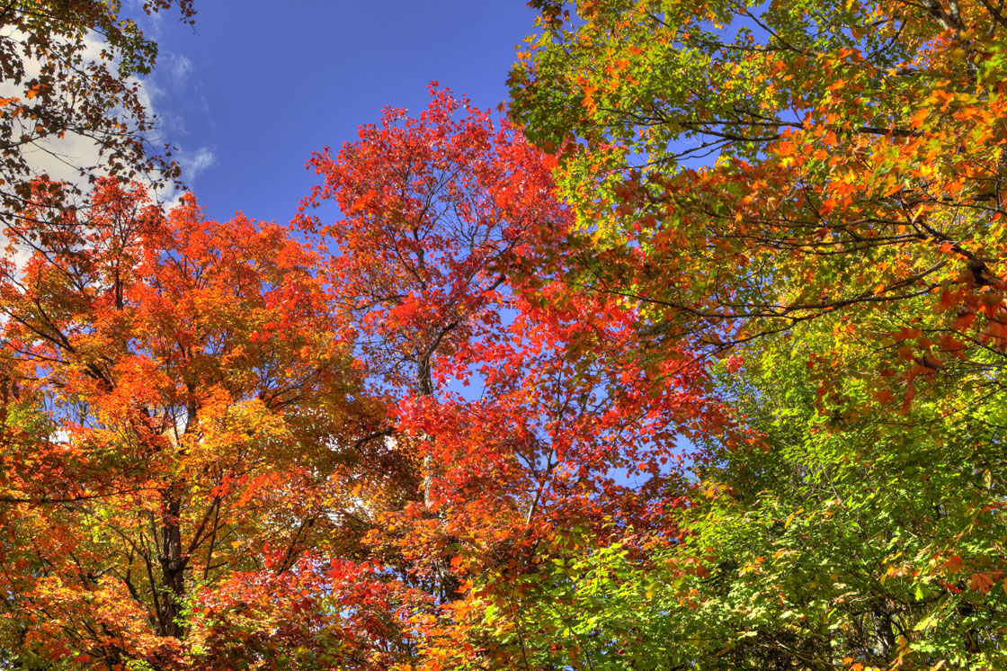 According to Environment Canada, are expected to be warmer than usual this fall.