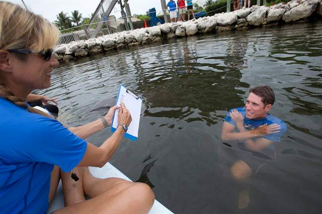 Study: Dolphins can problem solve like humans - image