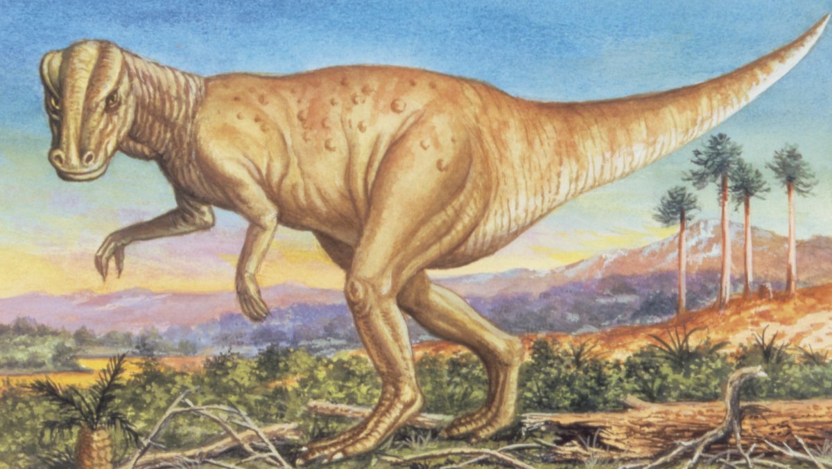 Illustration of Hadrosaurus .