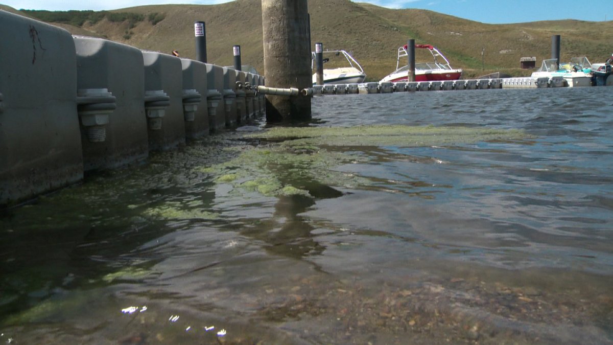 Algae warning at Travers Reservoir continues - image