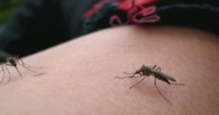 West Nile virus detected in Prince Edward County