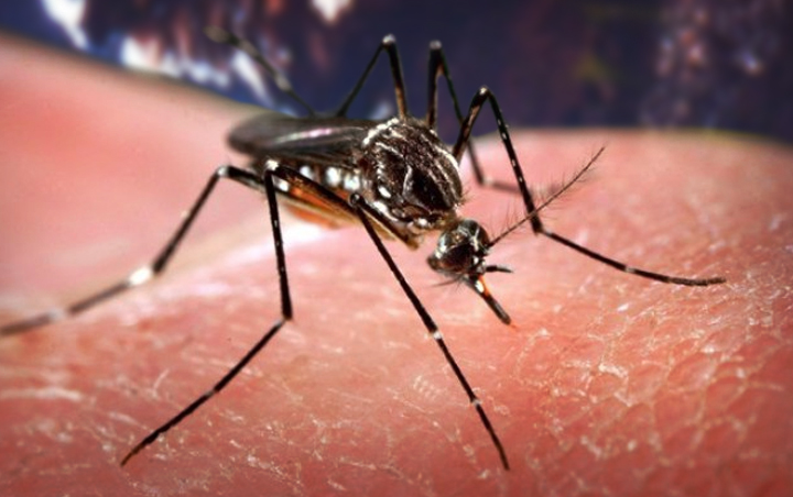 Health officials in Saskatchewan say one person who had West Nile neurological syndrome has died.