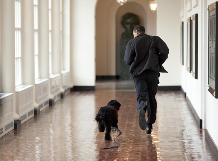 Barack Obama runs down a White House corridor with the family’s dog, Bo. Pete Souza/The White House