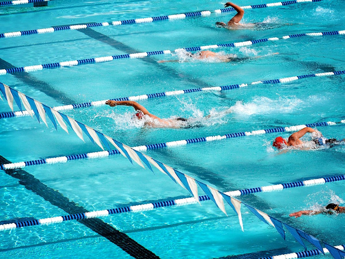 People swimming in a pool.