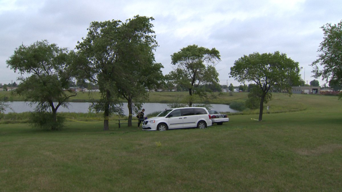 Police are investigating after a body was found in Woodsworth Park off Hekla Avenue early Saturday morning.