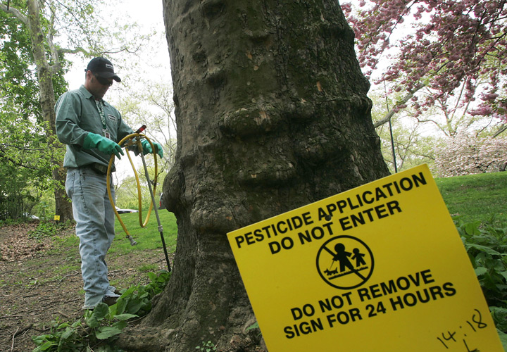 A new audit says the regulator tasked with monitoring pesticide use is allowing harmful chemicals to remain on the market for too long.