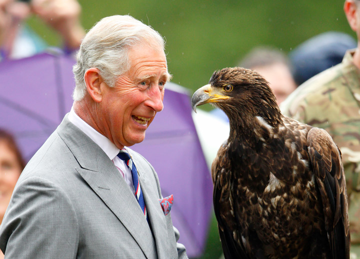 Prince Charles, Prince of Wales holds a Bald Eagle called Zephyr as he and Camilla, Duchess of Cornwall visit the 132nd Sandringham Flower Show at Sandringham House on July 31, 2013 in King's Lynn, England.