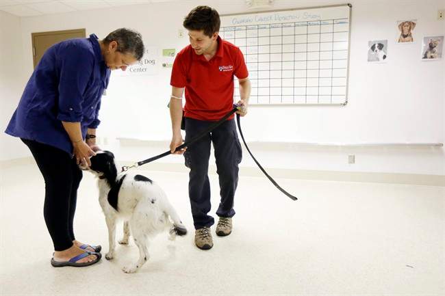 Dogs help sniff out ovarian cancer in Pa. study - image
