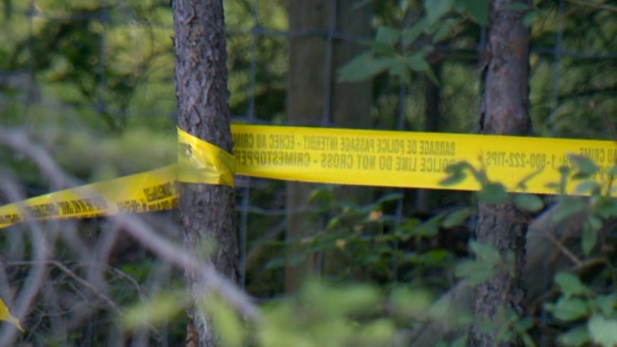 UPDATE: RCMP say human skull found amongst Banff remains | Globalnews.ca