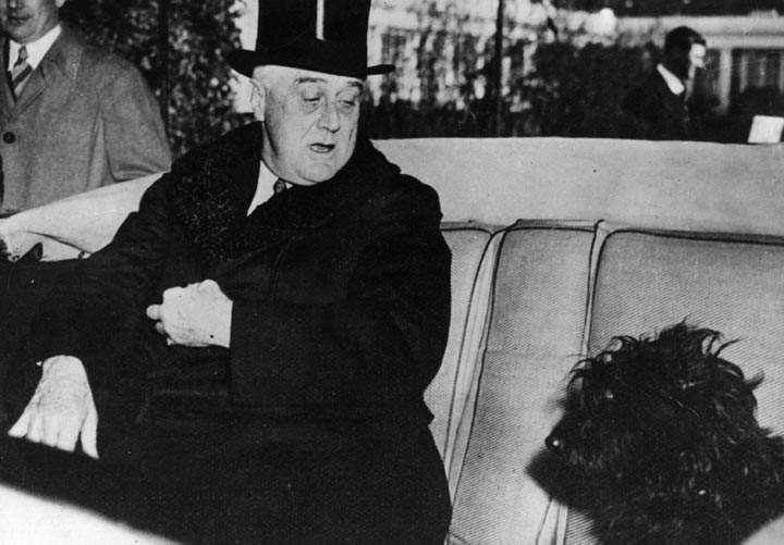 13 photos of U.S. presidential pets - image