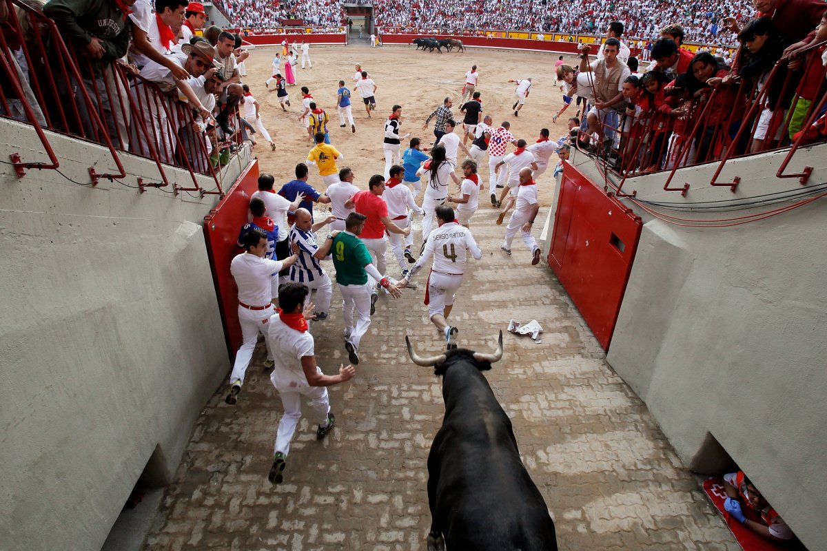 PAMPLONA, SPAIN - JULY 14: Revellers run with Miura's fighting bulls along the passage way into the bullring during the ninth day of the San Fermin Running Of The Bulls festival on July 14, 2013 in Pamplona, Spain. The annual Fiesta de San Fermin, made famous by the 1926 novel of US writer Ernest Hemmingway 'The Sun Also Rises', involves the running of the bulls through the historic heart of Pamplona, this year for nine days from July 6-14.