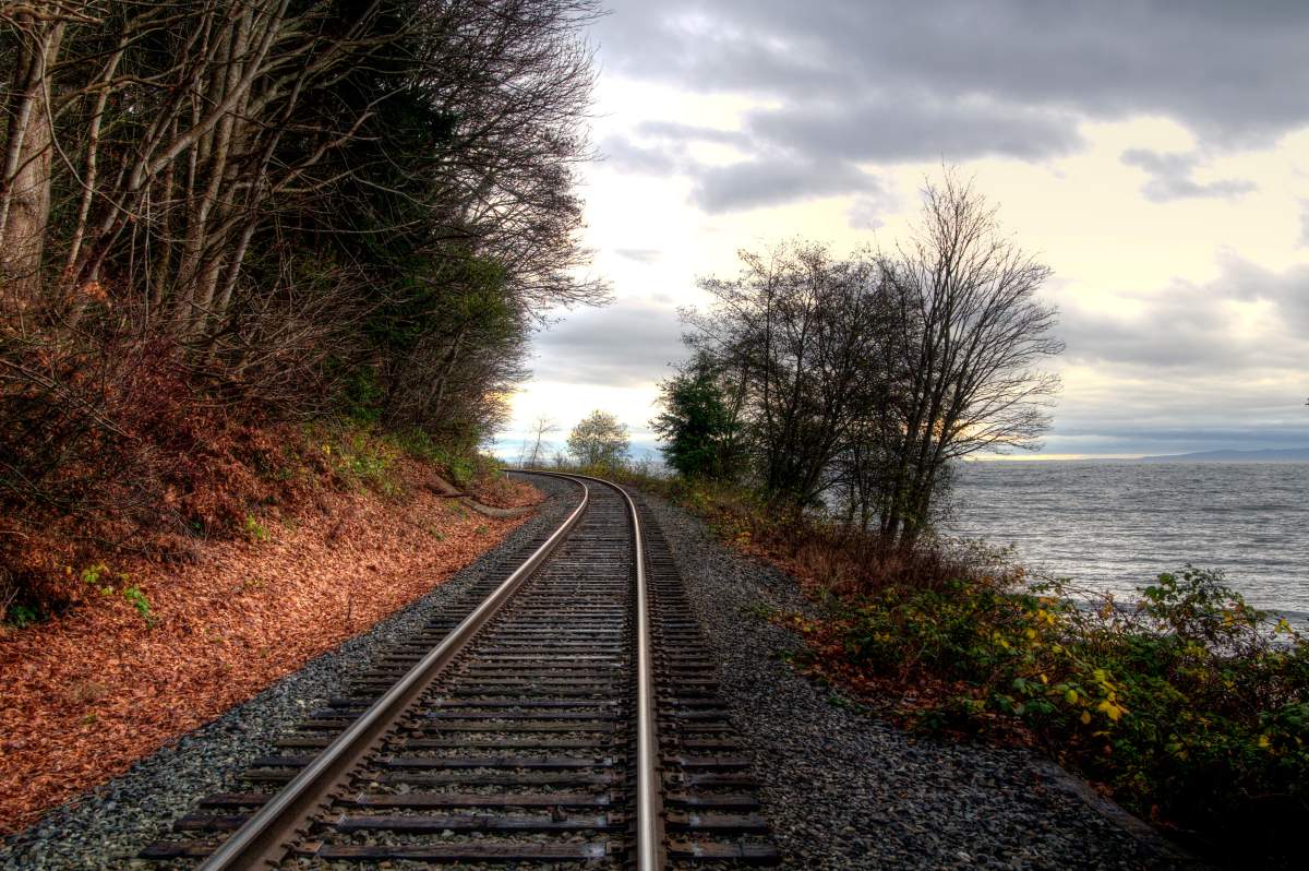 Over four million tonnes of coal could be shipped from the U.S. to a new facility at Fraser Surrey Docks. Port Metro Vancouver will decide whether or not to go forward with the plan today.