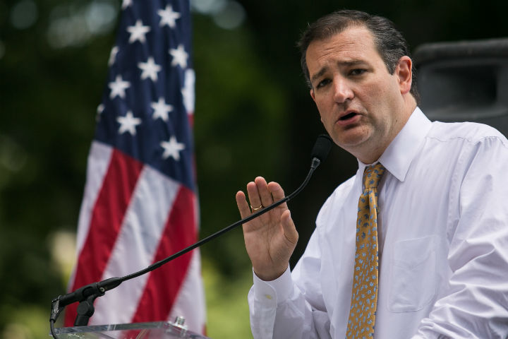 Sen. Ted Cruz (R-TX) speaks about immigration during the DC March for Jobs in Upper Senate Park near Capitol Hill, on July 15, 2013 in Washington, DC. 