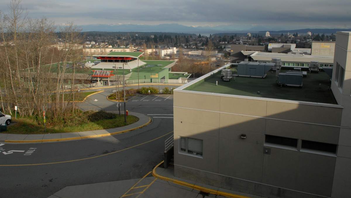 Vancouver Island University offers free tuition for youth in care - image