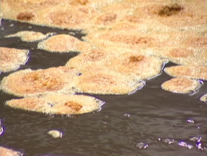 Lloydminster’s new mechanical wastewater treatment facility project has an estimated cost of $81.5 million.