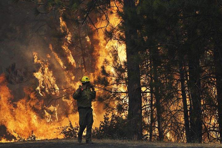 A firefighter watches the flames of the Rim Fire near Yosemite National Park, Calif., on Sunday, Aug. 25, 2013. (Jae C. Hong /AP Photo)