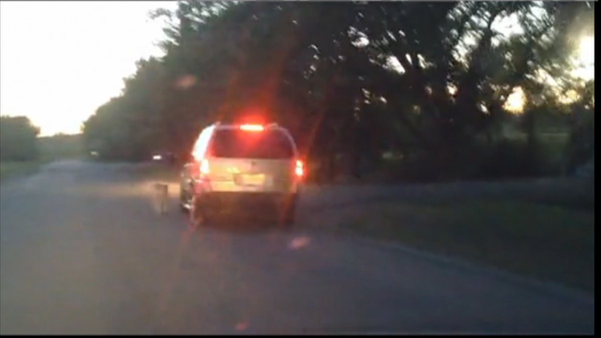 The Regina Humane Society is seeing red after a video taken over the weekend showed someone walking a dog while driving beside it in a van August 18 near Douglas Park.