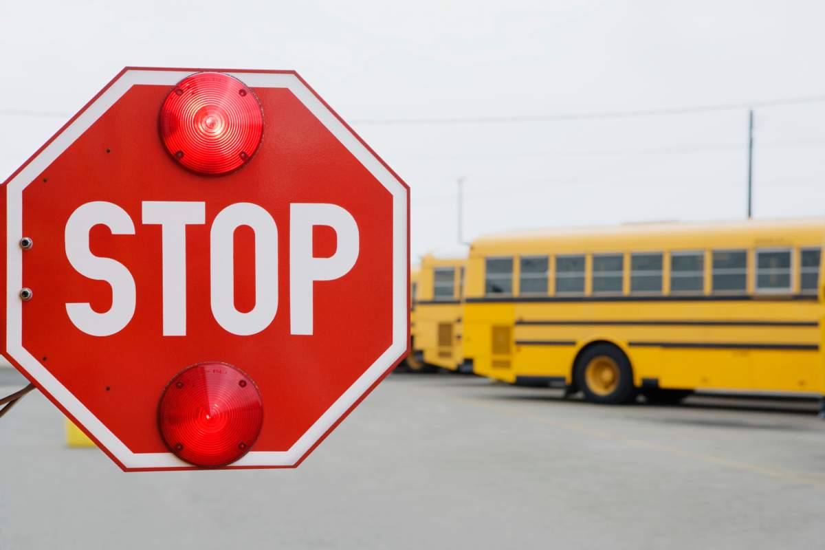 Some Winnipeggers heading back to school filled with anxiety - image