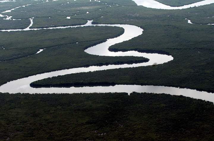 Aerial view dated on April 14, 2009 shows the Niger Delta creeks, 35 kilometers away from Port Harcourt in River State.
