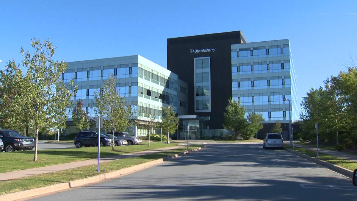 Bedford BlackBerry employee describes frustrations at office - image