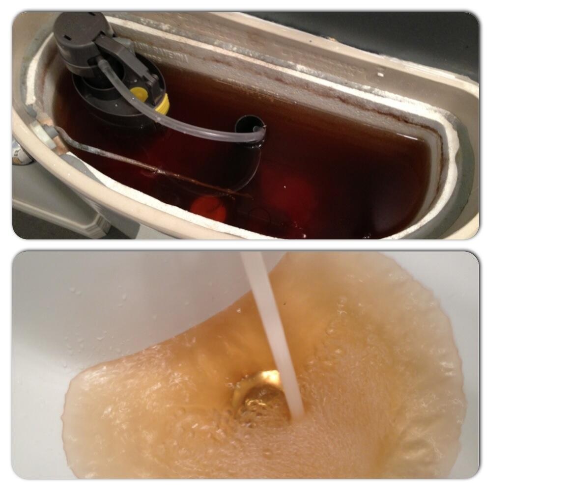 Brown water from the tap and in the toilet tank in Winnipeg on Friday September 13, 2013