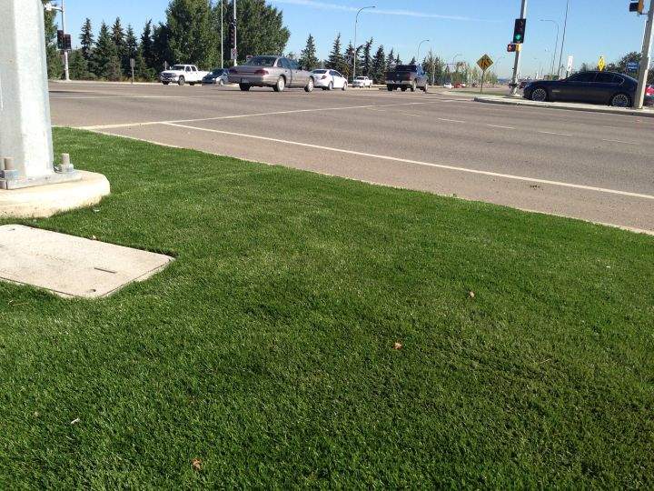 The grass is greener in Fort Saskatchewan - image