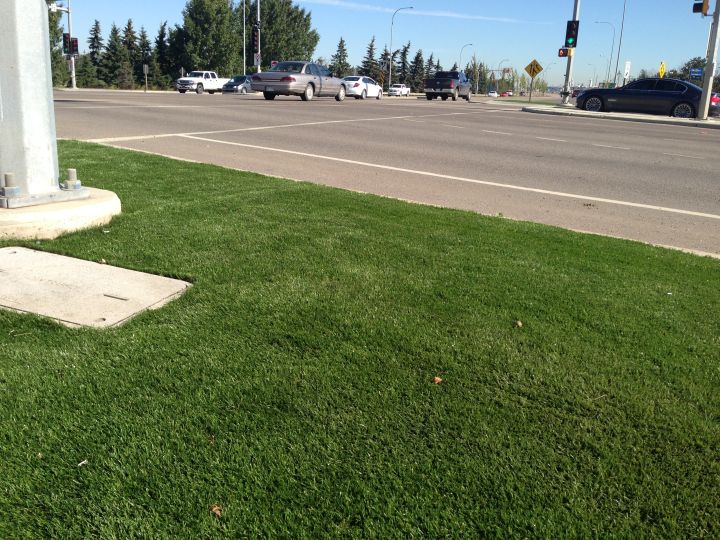 The grass is greener in Fort Saskatchewan Edmonton Globalnews.ca